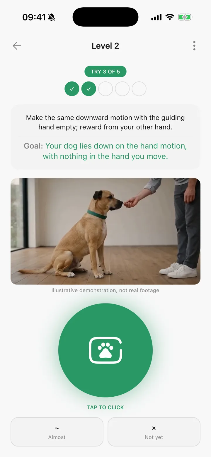 A Tailomi training session running rep by rep, with the demo clip and the virtual clicker