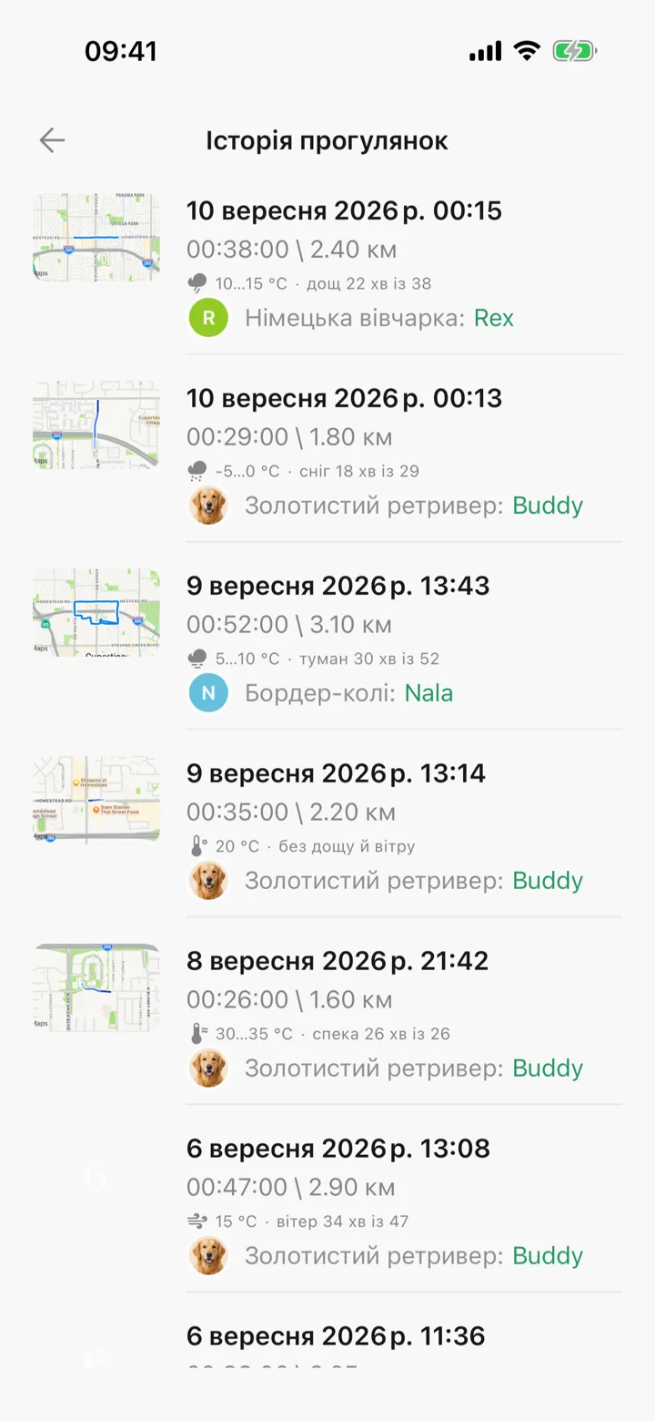 История прогулок, где каждая прогулка несёт свою погоду: дождь, снег, туман, жара и ветер