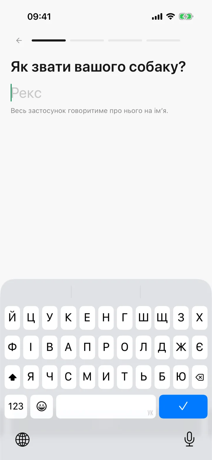 Шаг настройки, который спрашивает имя собаки
